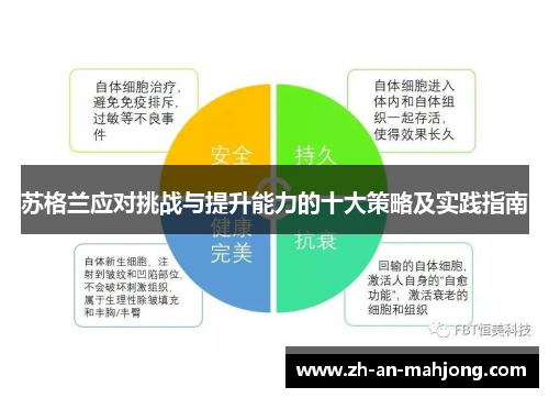 苏格兰应对挑战与提升能力的十大策略及实践指南