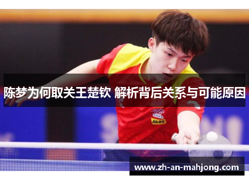 陈梦为何取关王楚钦 解析背后关系与可能原因 陈梦为何取关王楚钦 解析背后关系与可能原因