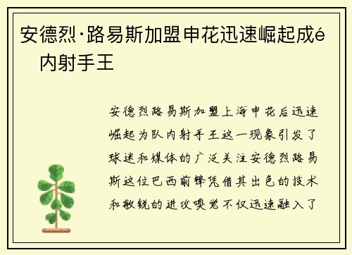安德烈·路易斯加盟申花迅速崛起成队内射手王 安德烈·路易斯加盟申花迅速崛起成队内射手王