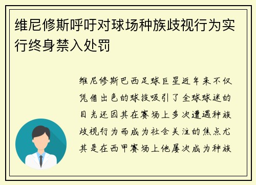 维尼修斯呼吁对球场种族歧视行为实行终身禁入处罚 维尼修斯呼吁对球场种族歧视行为实行终身禁入处罚